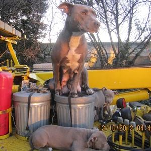 Meet your Posher, William